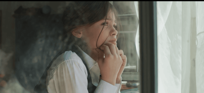  ‘Después de la niebla’, la película que entrega una íntima y conmovedora mirada de la infancia llega a la pantalla grande